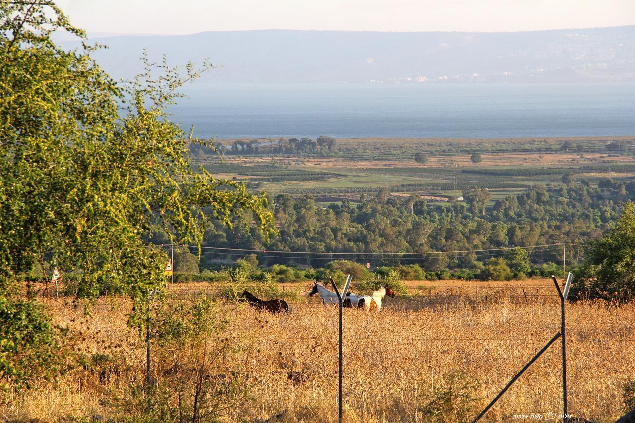 Nof Kinneret Cabins ハッド・ネス エクステリア 写真