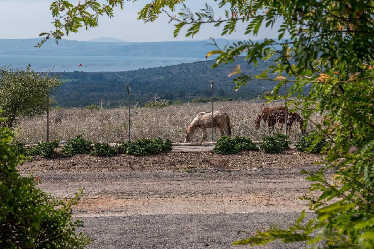 Nof Kinneret Cabins ハッド・ネス エクステリア 写真
