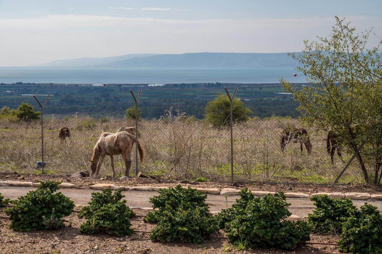 Nof Kinneret Cabins ハッド・ネス エクステリア 写真